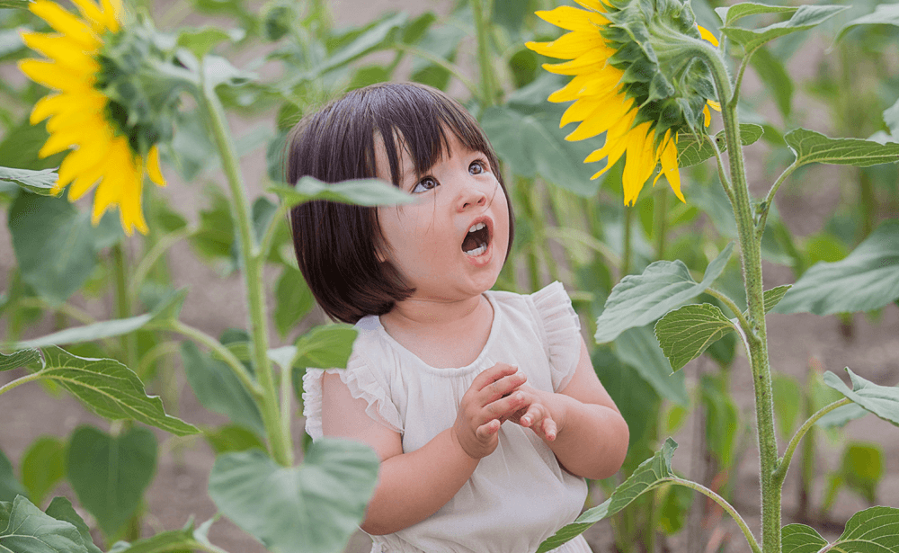 Portrait Photography